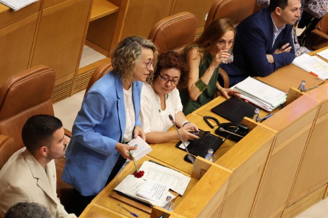 Toman posesión sete novas deputadas e deputados do Parlamento de Galicia